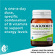 Blackmores Mega B Complex, High Potency B Vitamins, 31 Tablets – view 4