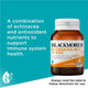 Blackmores Echinacea ACE + Zinc Immune Support Supplement 60 Tablets – view 4