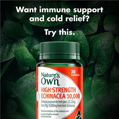 Nature's Own High Strength Echinacea 10,000mg 30 Capsules - Immune Support