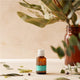 Oil Garden Natural Remedies Anxiety Oil 25ml - Calm Your Mind Naturally – view 5