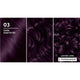 Schwarzkopf Brilliance 03 Dark Amethyst Hair Color - Permanent Fashion Shade – view 5 - Auzzistore