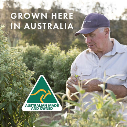 Freshwater Farm Manuka Honey & Vanilla Body Bar 200g | Organic Shea & Olive Soap