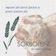Redwin Sorbolene Vitamin E Body Wash 1L - Moisturizing, Soap-Free for Sensitive Skin – view 3 - Auzzistore