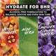 Thayers Lavender Alcohol-Free Toner with Witch Hazel & Aloe Vera - 355ml – view 4