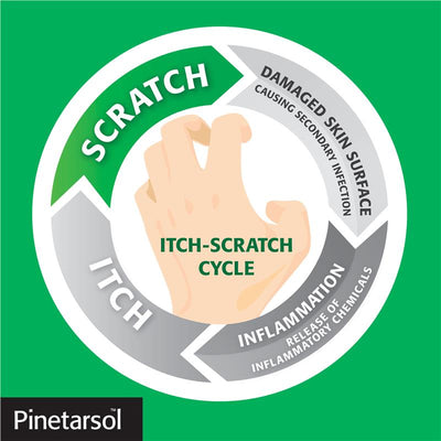 Pinetarsol Cleanser 500mL - Pine Tar Soap-Free for Itchy Skin