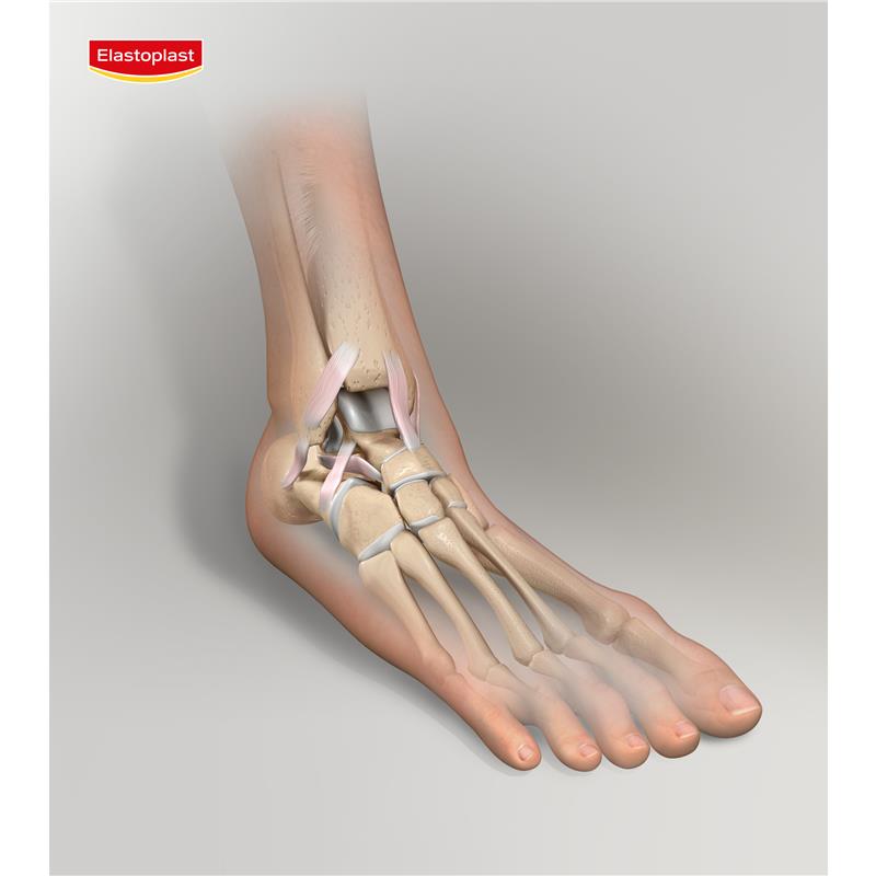 Elastoplast Everyday Ankle Support - Size M-Auzzi Store
