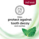 Red Seal Complete Care Fluoride Toothpaste (100g) – view 5