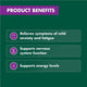 Nature's Own Ashwagandha for Anxiety with Sensoril, Magnesium & Chamomile – 60ct – view 5