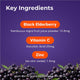 Sambucol Kids Immunity - Immune Defence 50 Gummies – view 5 - Auzzistore