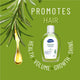 Redwin Rosemary Shampoo - 500ml – view 5 - Auzzistore