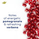 DOVE Advanced Care Pomegranate Antiperspirant 250ml - Fruity Freshness – view 5 - Auzzistore