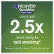 Nicorette Quit Smoking QuickMist SmartTrack Nicotine Mouth Spray - Freshmint - 150 Sprays – view 5