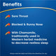Ease a Cold Cold & Flu Day & Night - 24 Capsules for Symptom Relief – view 5 - Auzzistore
