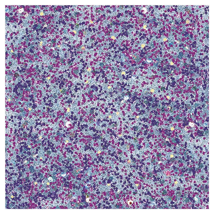 Sally Hansen Insta Dri Grape Shifter