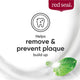 Red Seal Whitening Fluoride Toothpaste (100g) – view 5