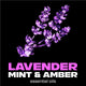 LYNX Blue Lavender Premium Deodorant Body Spray 150ml – view 5