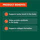 Nature's Own Lysine 1000mg – 100 Tablets for Collagen & Protein Support – view 5 - Auzzistore
