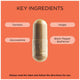 GO Healthy Turmeric Plus Glucosamine 120 Hard Capsules - Natural Joint Support – view 6 - Auzzistore