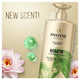 Pantene Miracles Keratin Smooth & Sleek Shampoo 650ml - Silicone-Free Formula – view 6 - Auzzistore