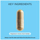 GO Healthy Magnesium 800mg High Strength - 120 Vegetarian Capsules – view 6 - Auzzistore