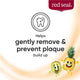 Red Seal Toothpaste Kids Tutti Frutti 70g - Fun Flavor for Kids – view 6 - Auzzistore