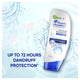 Head & Shoulders Clean & Balanced Anti-Dandruff Conditioner 400ml - Nourishing Care – view 6 - Auzzistore