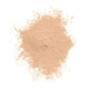 Covergirl Clean Invisible Loose Powder #110 Light – view 7