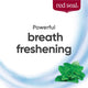 Red Seal Strong Mint Toothpaste - 100g – view 6 - Auzzistore