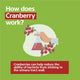URAL High Strength Cranberry 60000mg 90 Capsules – view 7 - Auzzistore