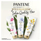 Pantene Nutrient Blends Colour Care Conditioner 500ml – view 6