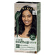 Clairol Root Touch Up Natural Instincts 2 Black - Permanent Hair Colour (35g) – view 8