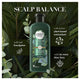 Herbal Essences Bio Renew Potent Aloe & Eucalyptus Strength & Moisture Shampoo - 400mL – view 6