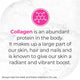 Nature's Way Collagen Shots with Vitamin E & Biotin, 10x50ml – view 8