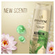 Pantene Miracles Keratin Smooth & Sleek Shampoo 375ml - Silicone-Free Formula – view 7 - Auzzistore