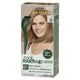 Clairol Root Touch Up Natural Instincts 8 Medium Blonde - Permanent Hair Colour (35g) – view 8 - Auzzistore