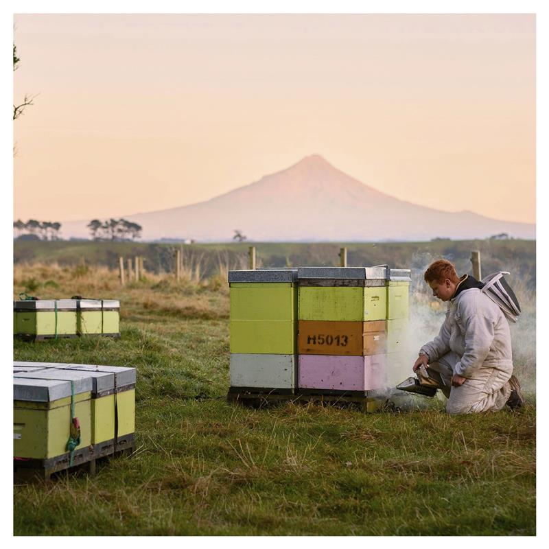 Egmont UMF 20+ Manuka Honey 500g – Raw, Non-GMO New Zealand MGO 830+