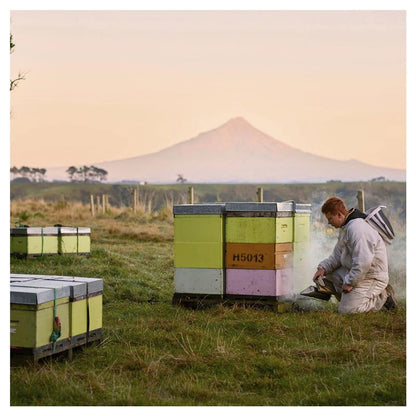 Egmont UMF 20+ Manuka Honey 500g – Raw, Non-GMO New Zealand MGO 830+