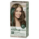 Clairol Root Touch Up Natural Instincts 6 Light Brown - Permanent Hair Colour (35g) – view 8