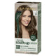 Clairol Root Touch Up Natural Instincts 6 Light Brown - Permanent Hair Colour (35g) – view 8 - Auzzistore