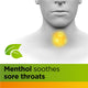 Strepsils Herbal Immune Support Lozenges with Honey & Lemon 16 Pack – view 8