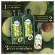 Herbal Essences Bio Renew Potent Aloe + Avocado Oil Shampoo 400ml - Nourish Your Hair Naturally – view 7