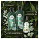 Herbal Essences Bio Renew Potent Aloe & Eucalyptus Strength & Moisture Shampoo - 400mL – view 7