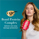 OGX Bond Protein Shampoo 385ml - Gentle Cleansing for Damaged Hair – view 8 - Auzzistore