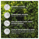 Herbal Essences Bio Renew Argan Oil & Aloe Deep Repair Mask 300ml – view 8 - Auzzistore