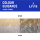 Schwarzkopf Live Colour Permanent Silver Storm Hair Dye - 1 Pack – view 8 - Auzzistore