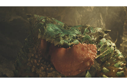 Monster Hunter Wilds - Xbox Series X