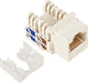 ASTROTEK CAT5e UTP Network Keystone Jack for Socket kit 10ps per pack Poly Bag White LS | Auzzi Store
