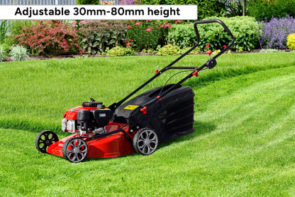 Certa Petrol Powered 65L 132cc Lawn Mower