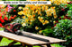 Certa PowerPlus 20V Hedge Trimmer (Skin Only)
