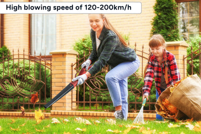 Certa PowerPlus 20V Leaf Blower Skin